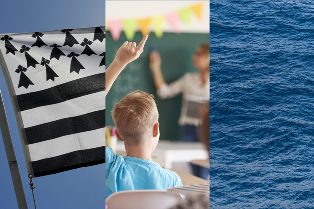 Reflection committees