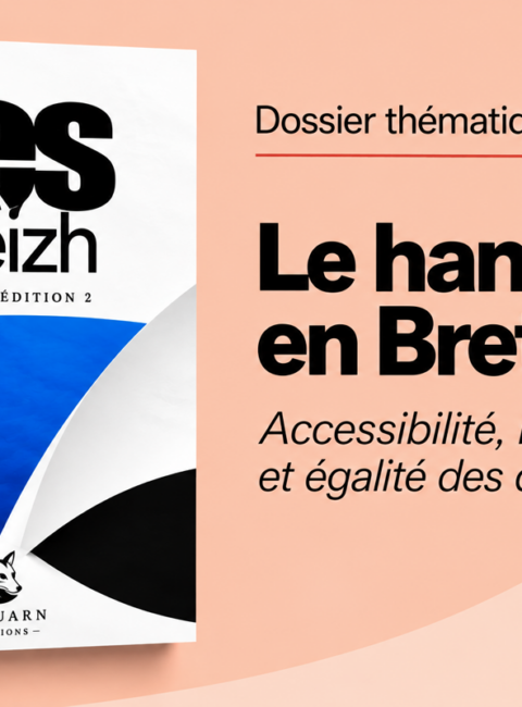 Levrig 2027 – Dossier 5/19 – Disability in Brittany – Yes Breizh